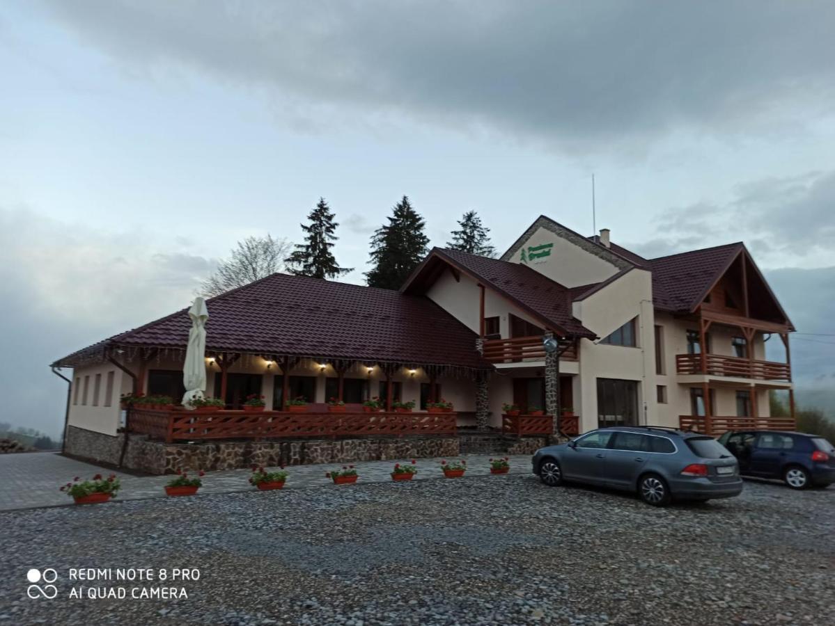 Pensiunea Bradul Dealu Stefanitei Exterior photo